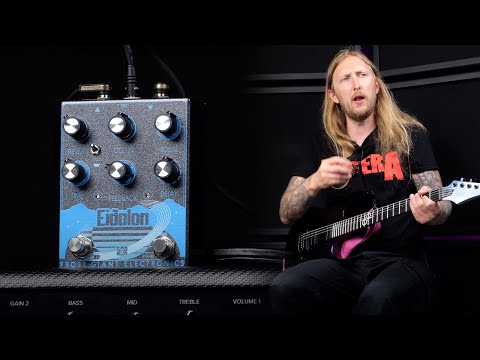 AMPLIFIERS BEST FRIEND? - Eidolon pedal