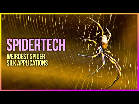 Spider Silk Batteries: The Unexpected Future of Energy Storage!