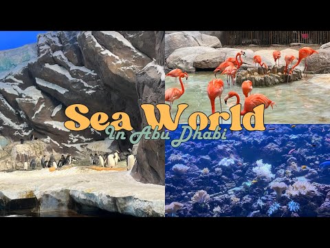 Sea World in Abu Dhabi🐬 I UAE Series