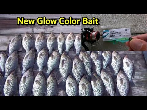 Unveiling the Ultimate Fishing Lure for February Crappie fishing