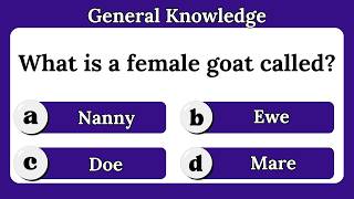 General Knowledge Questions About Animals | English Quiz Game | General knowledge quiz