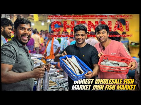 Chennai biggest wholesale fish market JMHI Fish market Chintadripet full detail video with prices