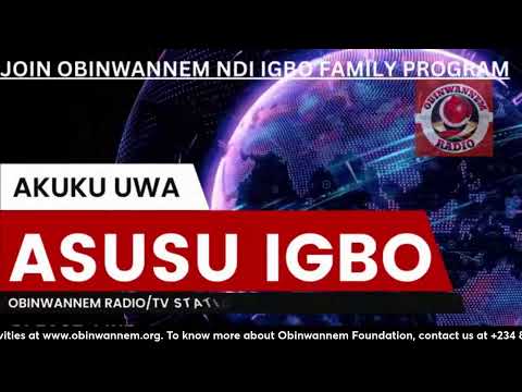 Obinwannem Business Strategy: The Obinwannem Foundation Igbo United Nations Project - Day 1