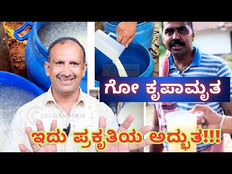 PART - 1 ಇದು ಗೊತ್ತಾದ್ರೆ ರೈತರಿಗೆ ಚಿಂತನೆ ಇಲ್ಲ | ಗೋ ಕೃಪಾಮೃತ  ಎಂಬ ಸಾವಯವ ದ್ರವರೂಪದ ಗೊಬ್ಬರ ತಯಾರಿ #gaukrapa