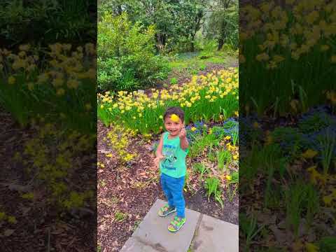 Cute baby very happily plucking flower😃🌼 #shorts