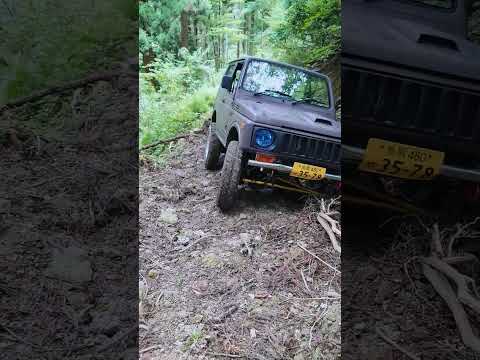 久々の林道行ってきました　③　#shorts #ジムニー #林道 #クロカン #jimny @cog.garage