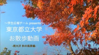 【学生広報チーム】東京都立大学 お散歩動画 －南大沢　秋の風景編－