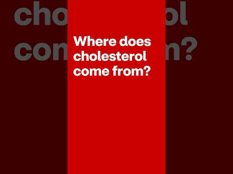 Where Does Cholesterol Come From? #shorts