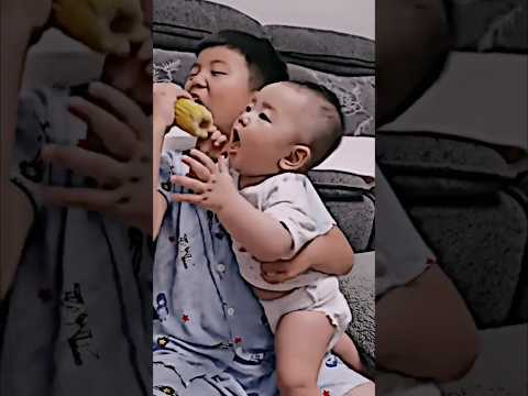 funny baby laughing ||| funniest babyvideo ||