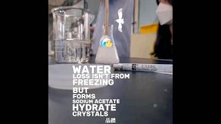 The Secret of Water Vanishing: Sodium Acetate Hydrate #HotIce #Experiment #CampusLife