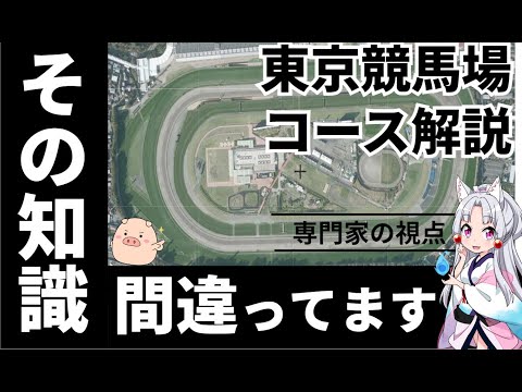 【上級者向け】シン東京競馬場コース解説＆馬券攻略