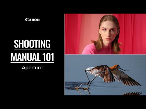 Shooting Manual 101: Aperture Basics with Canon