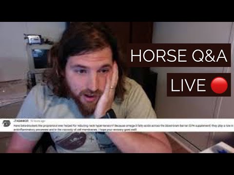 Horse Q&A LIVE! Starts at :38