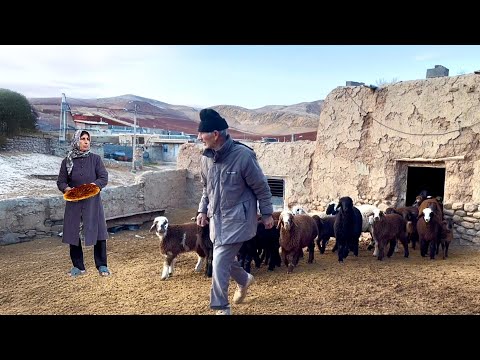 Iranian Nomadic Life: Secrets of Baking Traditional Local Bread from a 1000-Year-Old Village