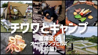 【犬連れキャンプ】千葉県：富津金谷オートキャンプヒルズ・Cドッグランサイト”前編”☆チワワ駆け回る～♪シカが出るキャンプ場？！