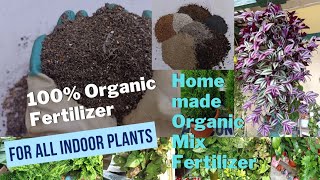 Best Home made Organic Mix Fertilizer for All Indoor/Shade loving/Leafy Plants|| Fahmida's Gardening