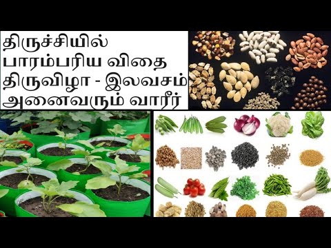 💥திருச்சியில் பாரம்பரிய விதை திருவிழா🌱Traditional Seed Festival in Trichy🏡🌄 Maadi thottam