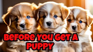 Top 5 MUST KNOW Facts Before Getting A Puppy