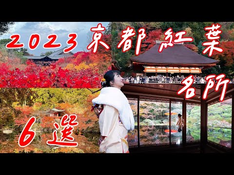 2023 Kyoto Six Picks for Autumn Foliage｜Kiyomizudera Temple