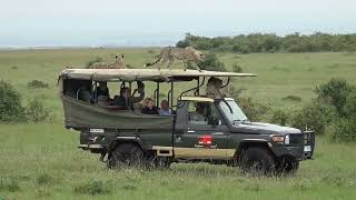 Experience The Unsurpassed Charm Of African Wildlife...!!! Kiragu Tours & Safaris...Ultimate Safaris