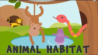 Animal Habitats | Animal Homes | Animals video for kids |