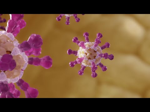 Robust and Durable Immune Response: Virus-Like Particle Vaccines