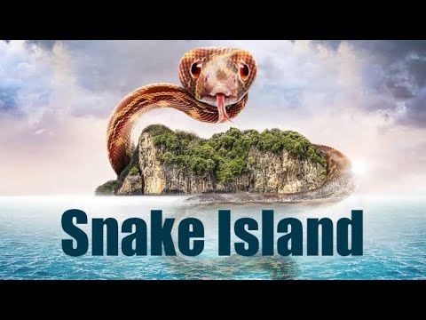 Snake Island, Brazil || The Deadliest Place on Earth || #brazil #snakeisland #trending #viralvideo