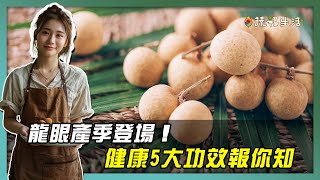 龍眼營養豐富　健康5大功效報你知｜蔬福生活