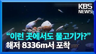 “이런 곳에서도 물고기가?”…해저 8336ｍ서 포착한 심해어 [잇슈 SNS]  / KBS  2023.04.04.