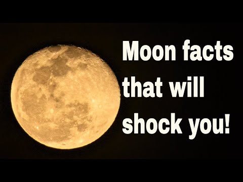 Moon facts we bet you never heard before #lunar #spacefacts #crazyfacts facts #solarsystem  #facts