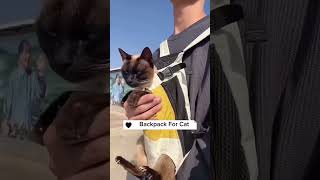 🌟 Ultimate Adventure Companion: Double Shoulder Portable Pet Carrier Review 2024! 🚀