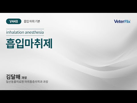 [베터플릭스][흡입 마취 기본] 흡입마취제(Inhalation anesthesia)