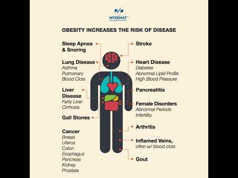 Obesity Increases The Risk Of Disease - MySehat