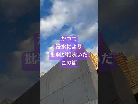 本物の金持ちと偽物の金持ち！駅前はタワマンだらけ！かつて浸水により批判されたが今では億ションが集積！不動産価格の変動が最も大きな都市！富裕層の生活！住タワマンに住みたい！セレブの日常☆住んでみたい家！