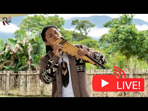 Beautiful Andean Music Live from Nature