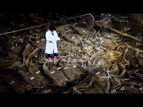 12 Most Mysterious Archaeological Finds Scientists Still Can't Explain