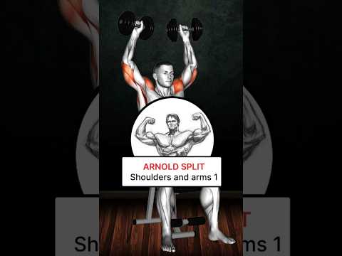 ARNOLD SPLIT : Shoulders And Arms workout 💪🏻 #edm #sholderworkout #fitnessexercise @YouTube