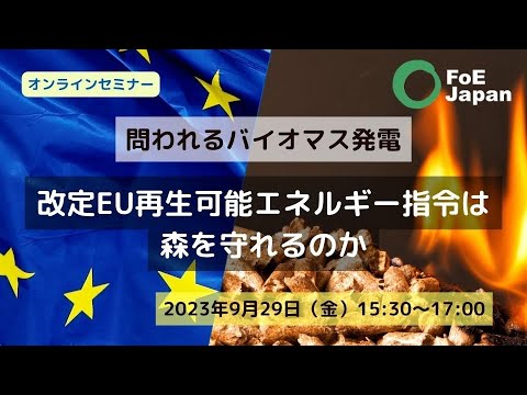 ウェビナー 問われるバイオマス発電：改定EU再生可能エネルギー指令は森を守れるのか