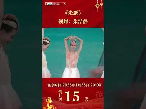 “飞”上春晚的吉祥之鸟！朱洁静领衔上海歌舞团唯美演绎《朱鹮》 | CCTV春晚