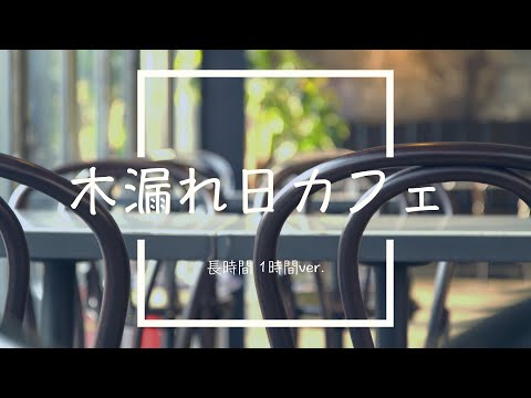 【フリーBGM】木漏れ日カフェ 1時間版【リラックス/作業用BGM】