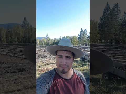 Cowboy Tony Looking Over The Hemp Field With Awesome Workers