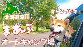 【北海道キャンプ】まあぶオートキャンプ場でキャンプだす