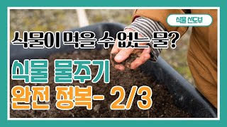 식물 물주기 완전 정복 2/3 - 식물이 먹을 수 없는 물, 화분속 세가지 물,  물을 주는 정확한 때, 흙이 마르지 않아도 물을 줘야하는 이유