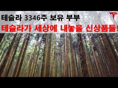 테슬라가 세상에 내놓을 신상품들!