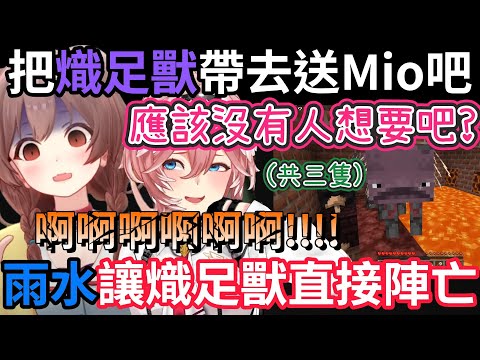 沁音幫熾足獸搬家!! 運送途中遇到下雨而讓其中一隻陣亡啦!! 送給Mio當禮物她會開心吧...? 【戌神沁音】【hololive中文】 【Vtuber精華】【戌神ころね/鷹嶺琉依】