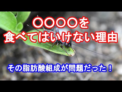 44.　アレルギー症状悪化します！／「きっと元気になるよ！」あなたはあなたが食べた物でつくられる。