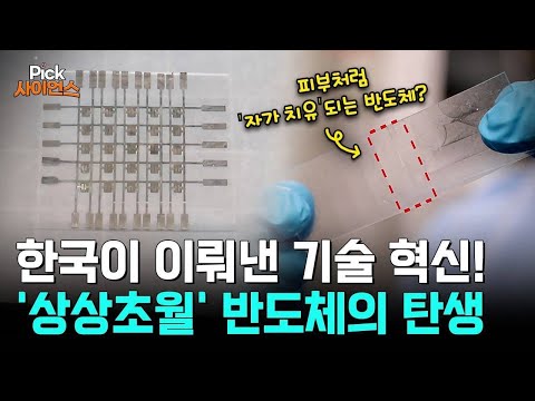 [Pick 사이언스] '세계 최초' 한국 연구진이 개발한 전자 피부 반도체! 보고도 안 믿기는 광경