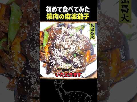 東出昌大 / 猿肉の麻婆茄子