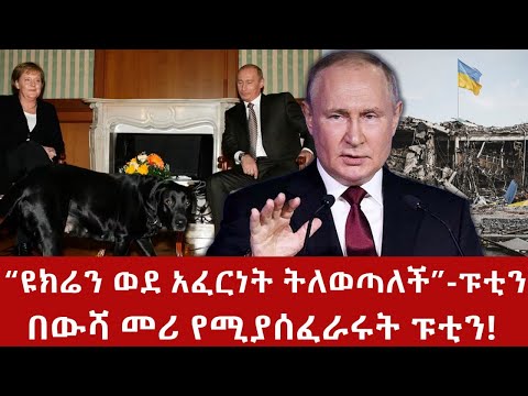 እንዳትሞክሩን ፡-ፑቲን#iran #putin #russia #israel #putin #nato #usa #hamas #gaza #nbc #fanatv #nbc #abiy