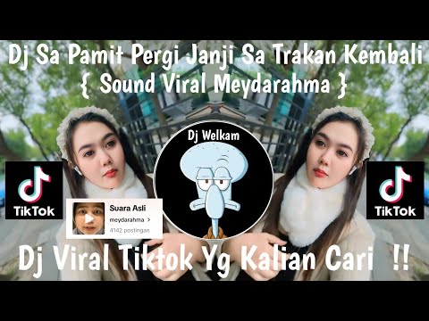 DJ SA PAMIT PERGI JANJI SA TRAKAN KEMBALI || DJ SOUND VIRAL MEYDARAHMA || DJ VIRAL TIK TOK 2024 FYP